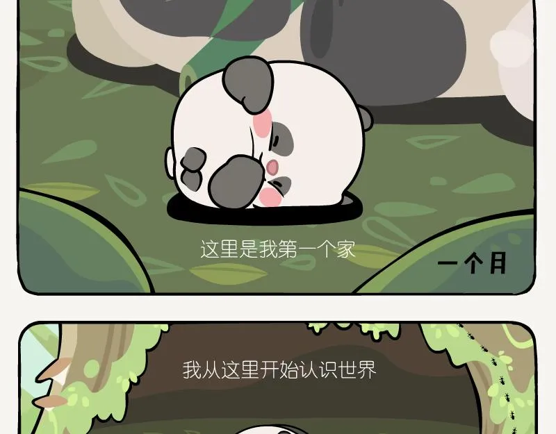 第11话 在树洞 第4页