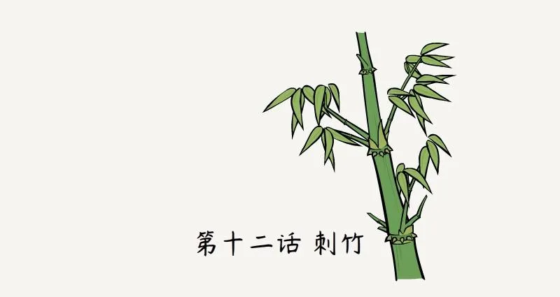 第12话 刺竹 第2页