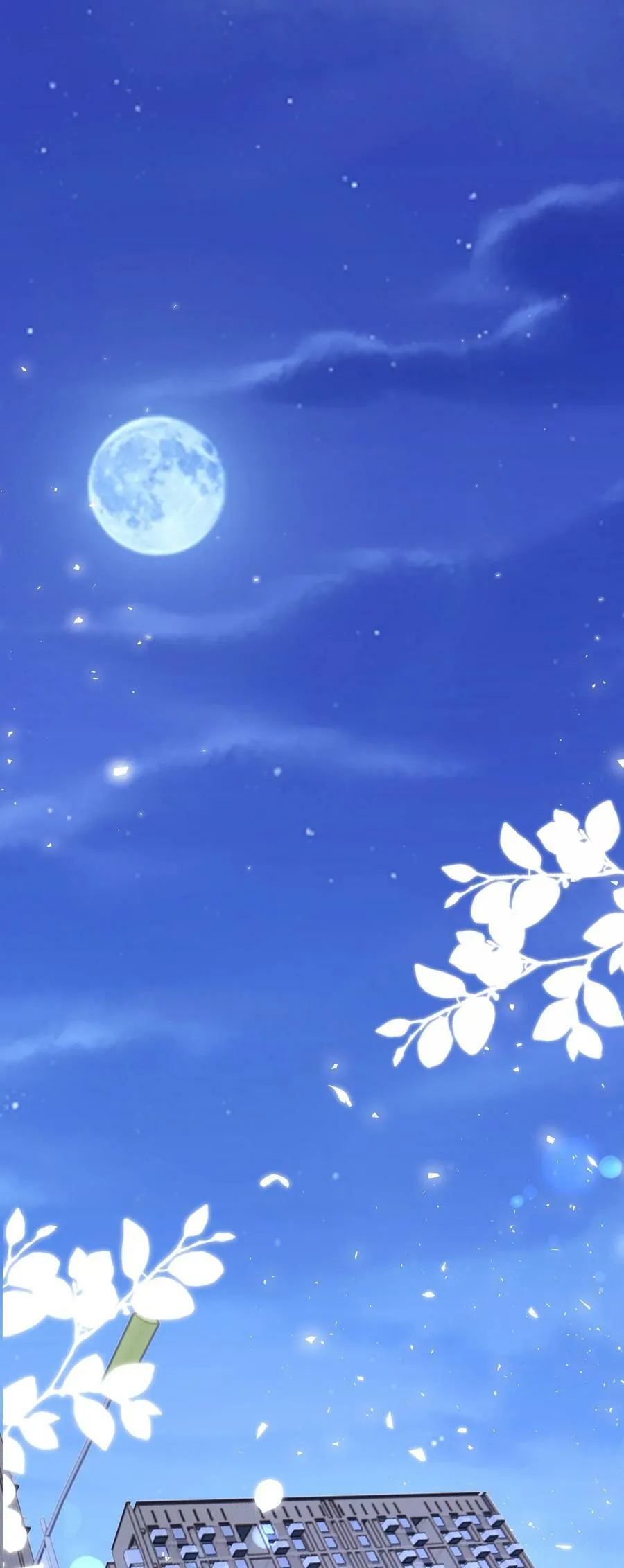 118 婚照 第12页