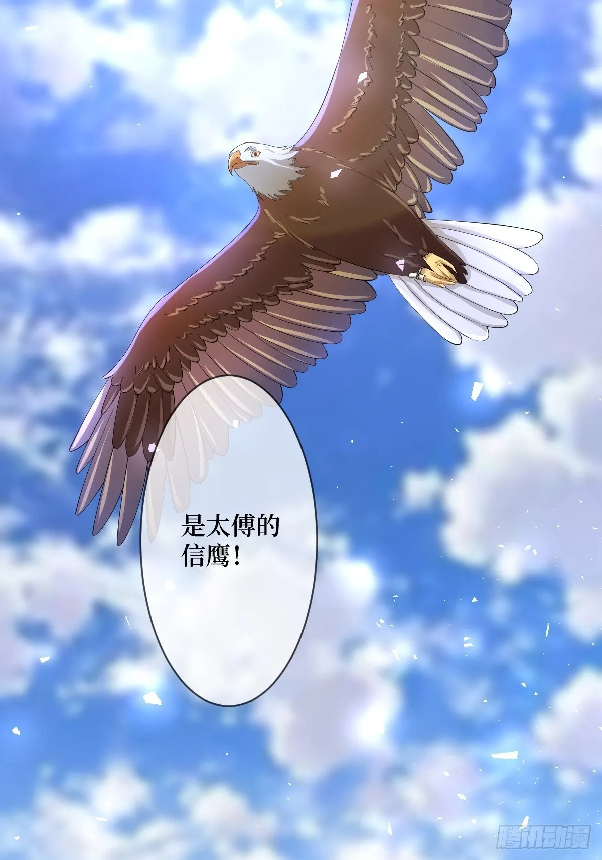第五十八话 终究是错付了 第4页