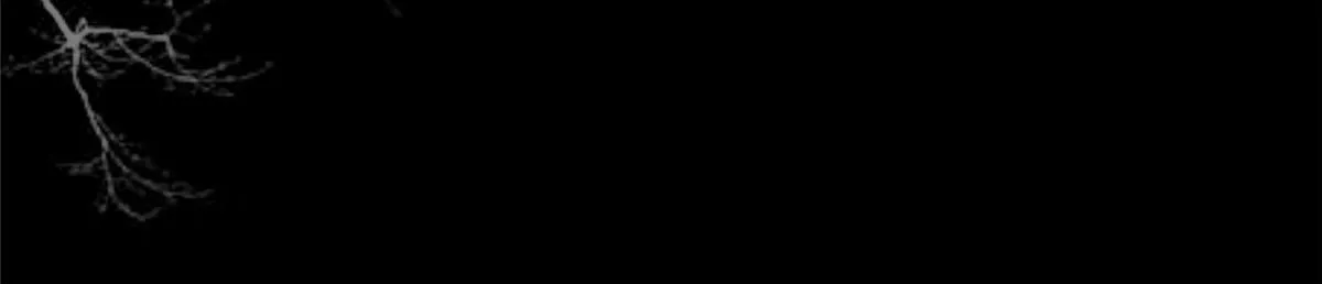 155 华离完犊子 第20页