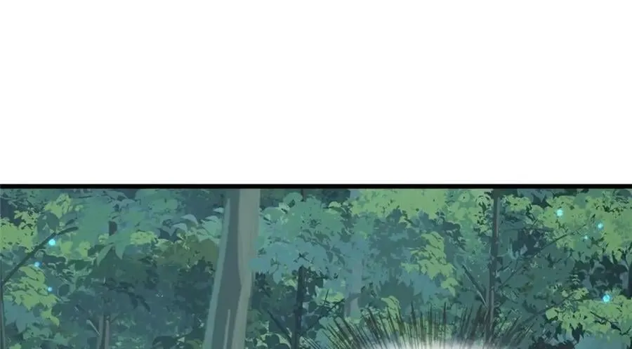 204 系统与碎片对决 第51页
