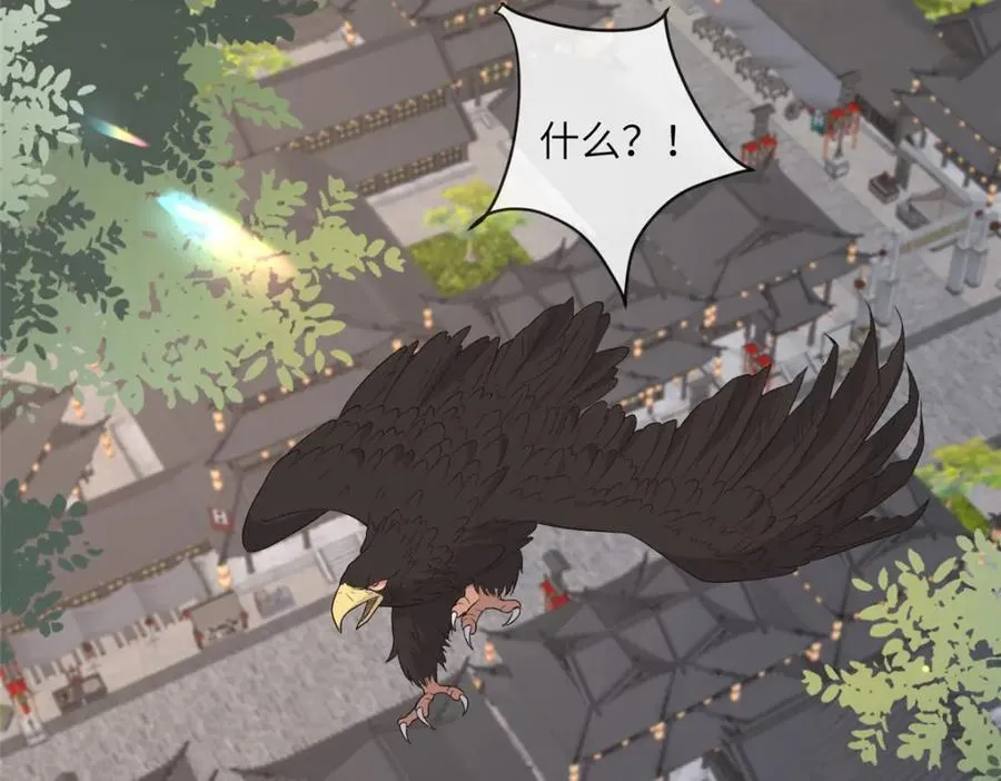 228 班师回京 第8页