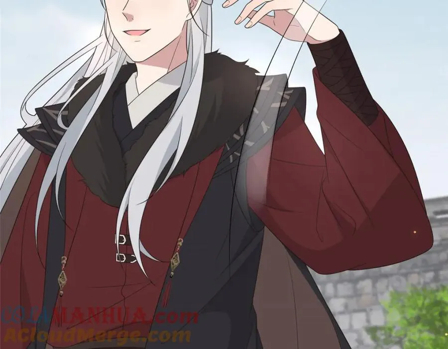 228 班师回京 第25页