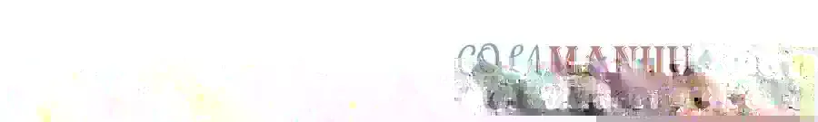 217 新帝上位 第70页