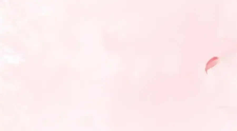 216 彼此的体温 第72页