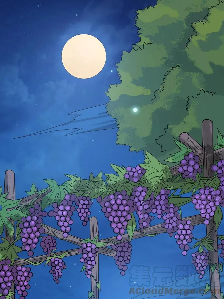 087 京城贺寿 第22页