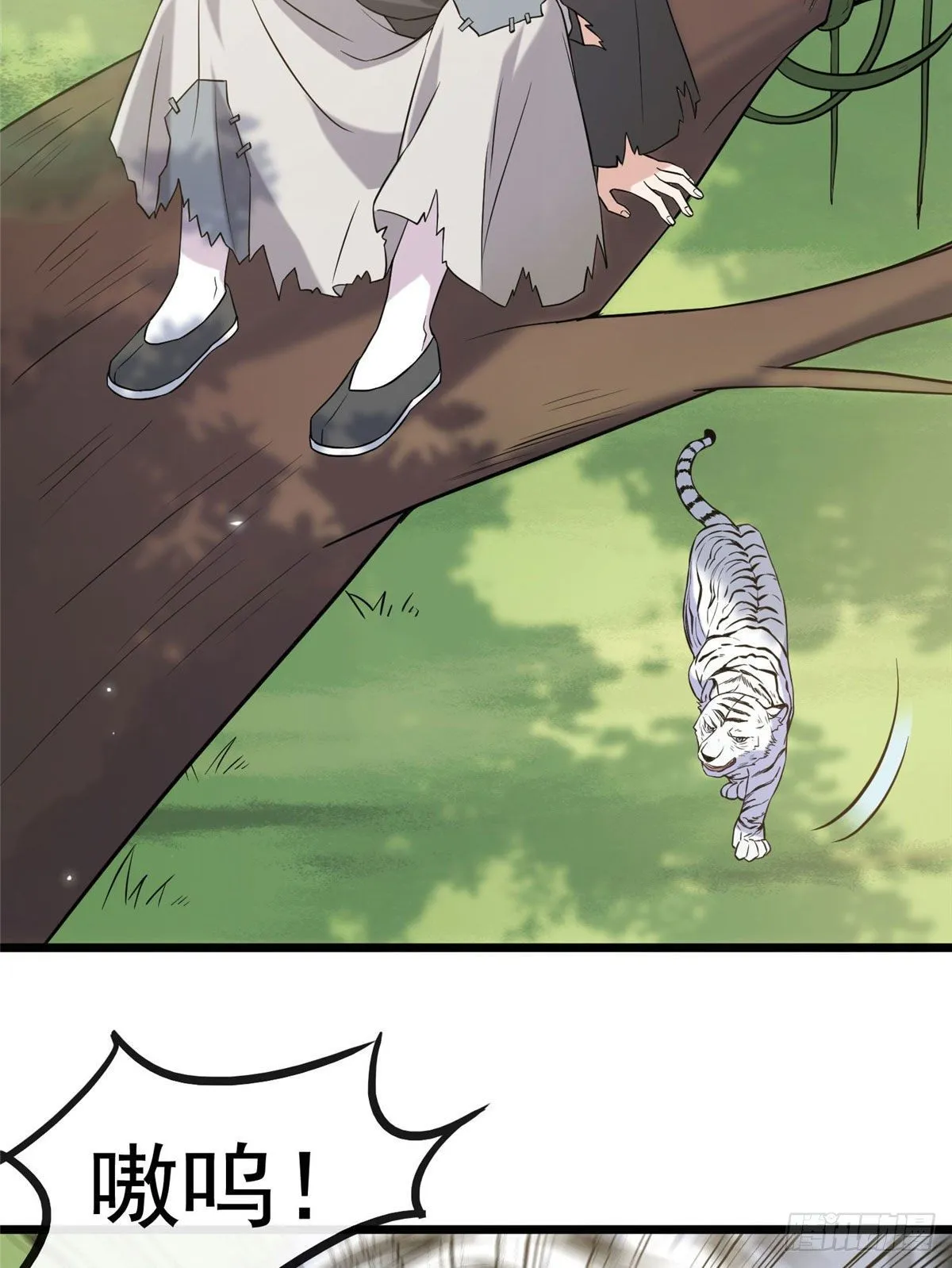 17 白虎认主 第3页