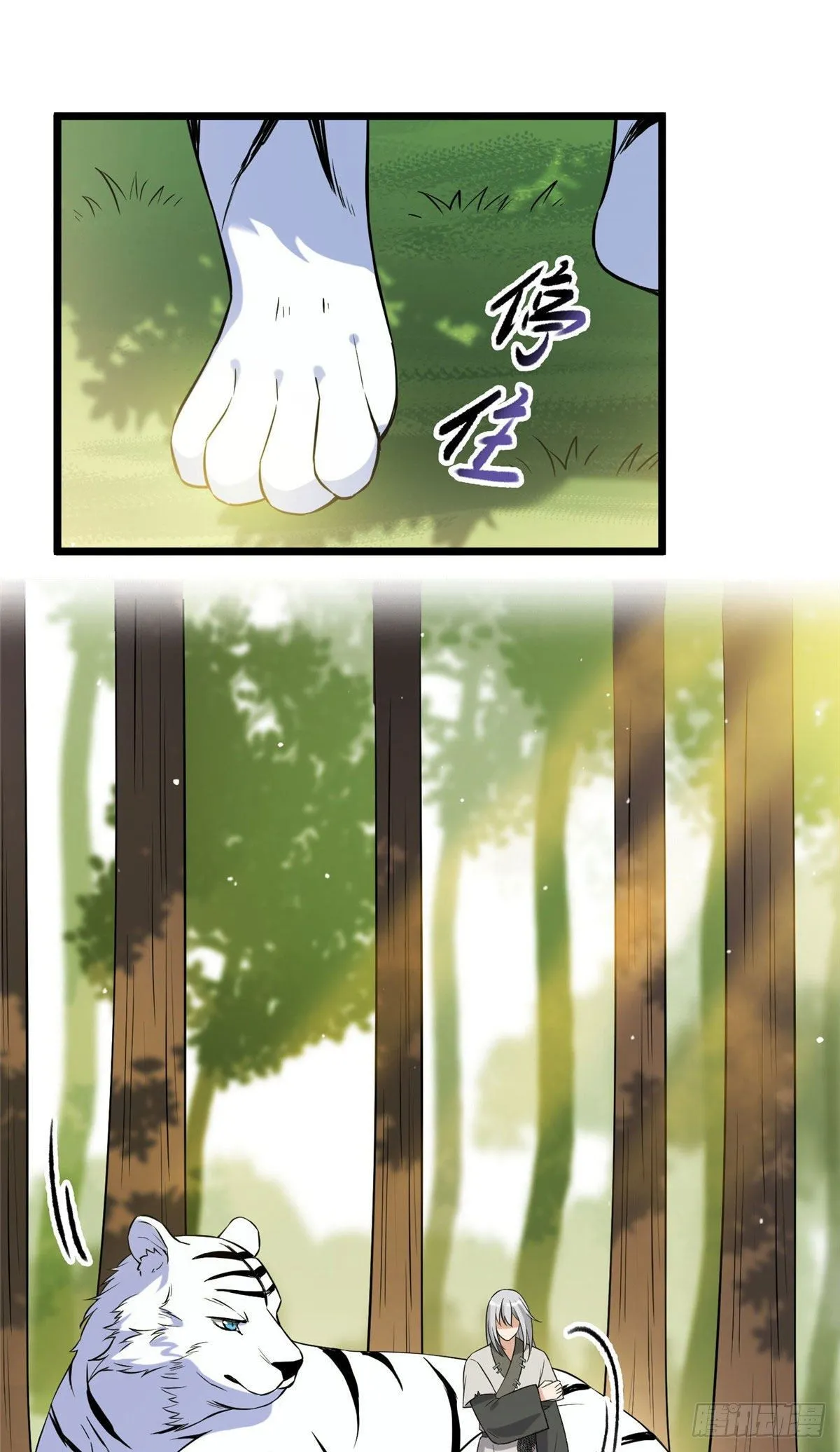 17 白虎认主 第16页