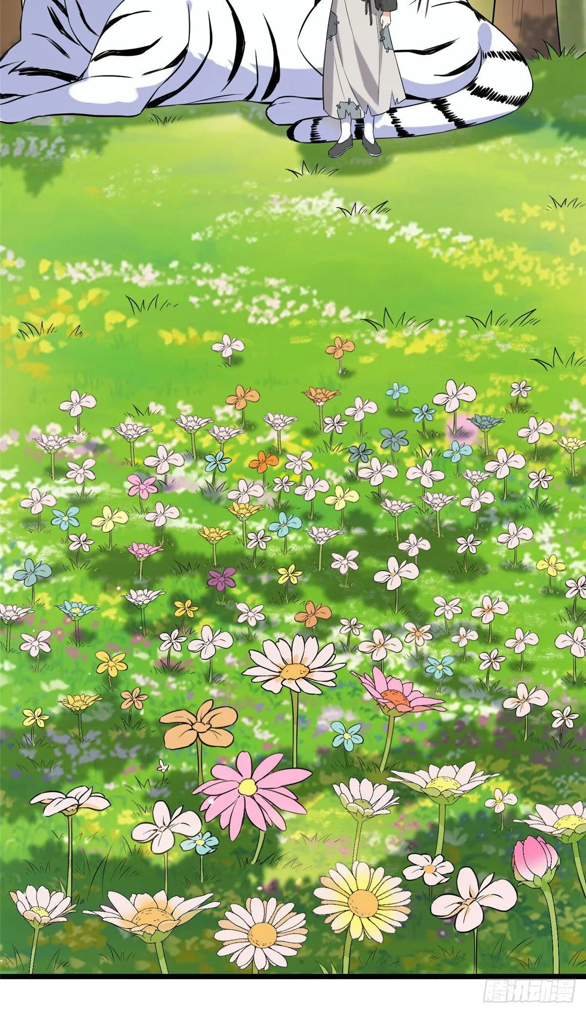 17 白虎认主 第17页