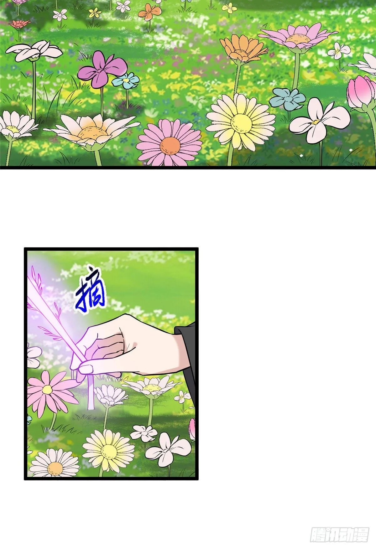 17 白虎认主 第21页