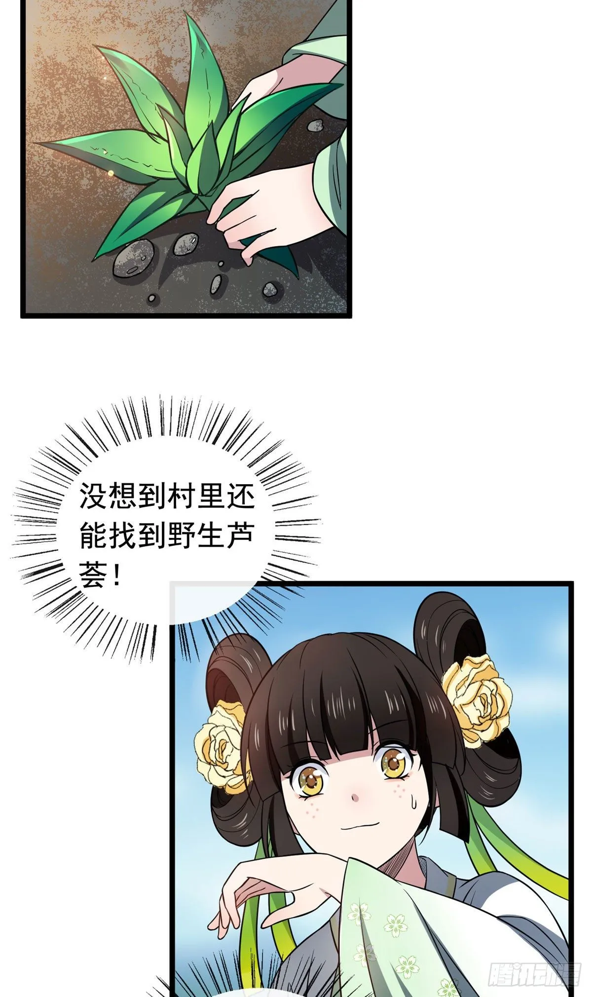 24 鉴别绿茶的方法 第24页