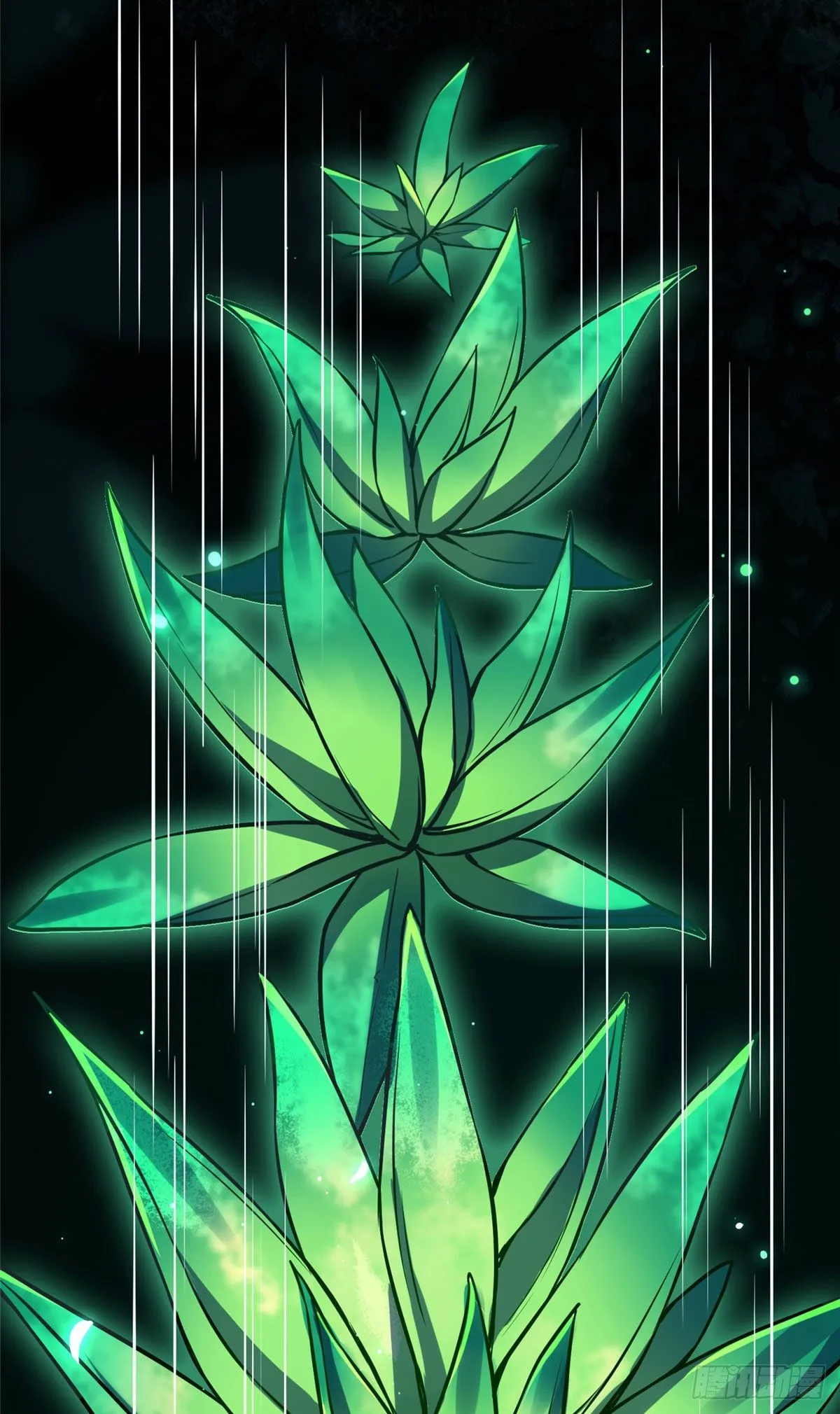 24 鉴别绿茶的方法 第26页