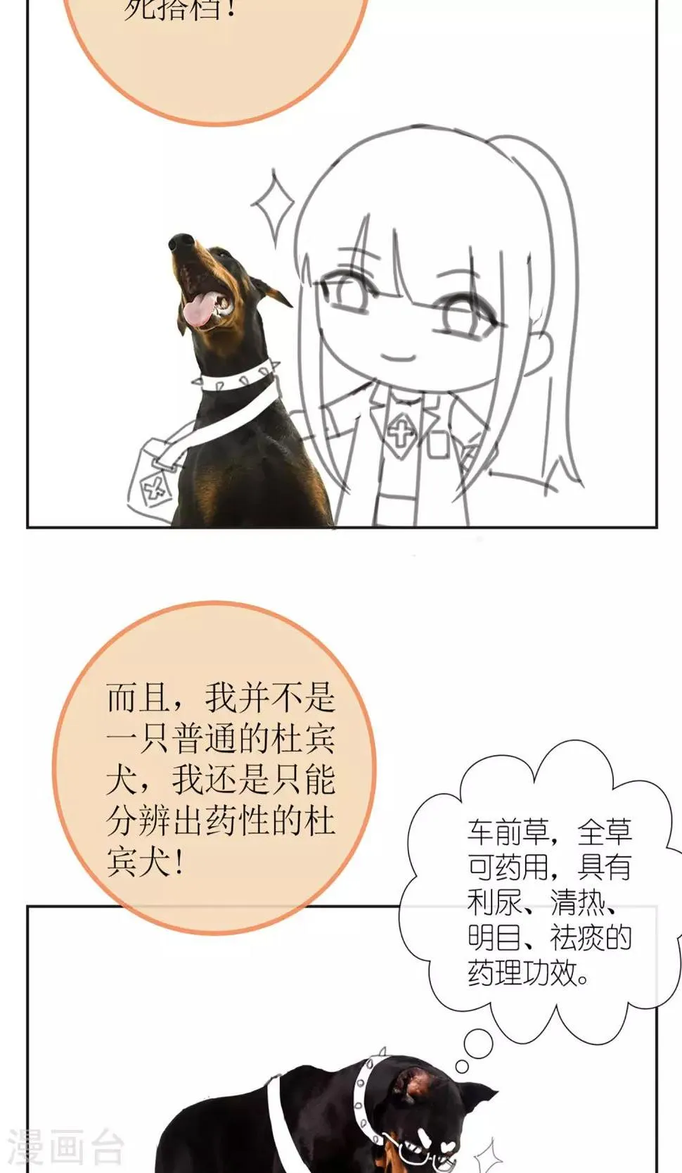 暖场小剧场 忠犬爱德华 第4页
