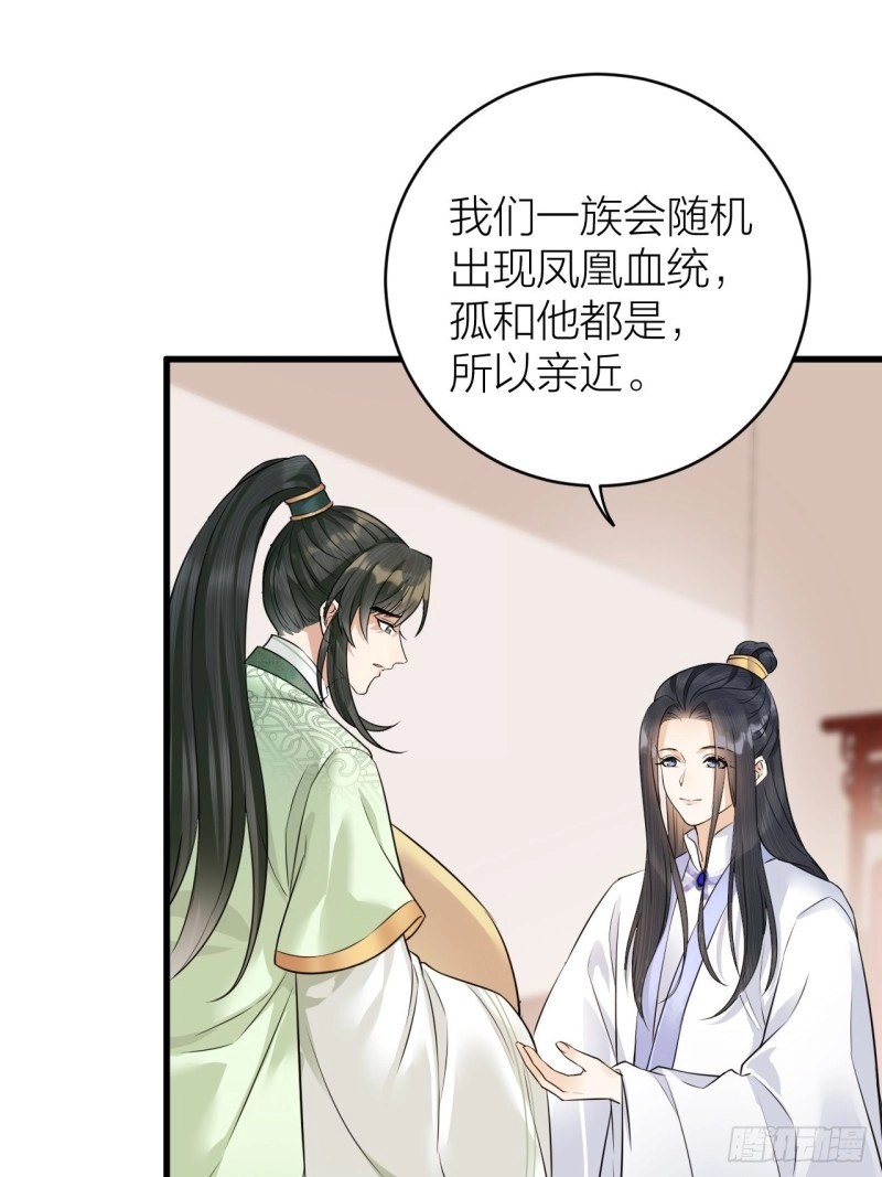 第40话 孤没有利用价值了吗？ 第5页