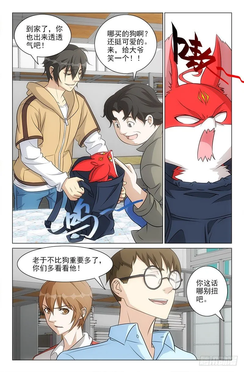 51 第5页