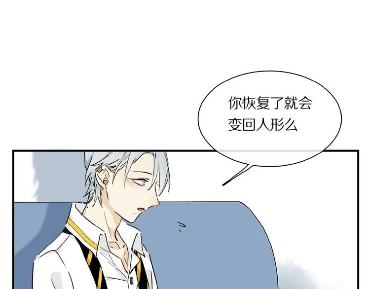 第29话 美丽的伤痕 第27页