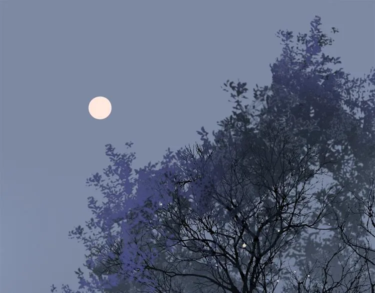 特别篇 中秋之夜的归属权 第39页