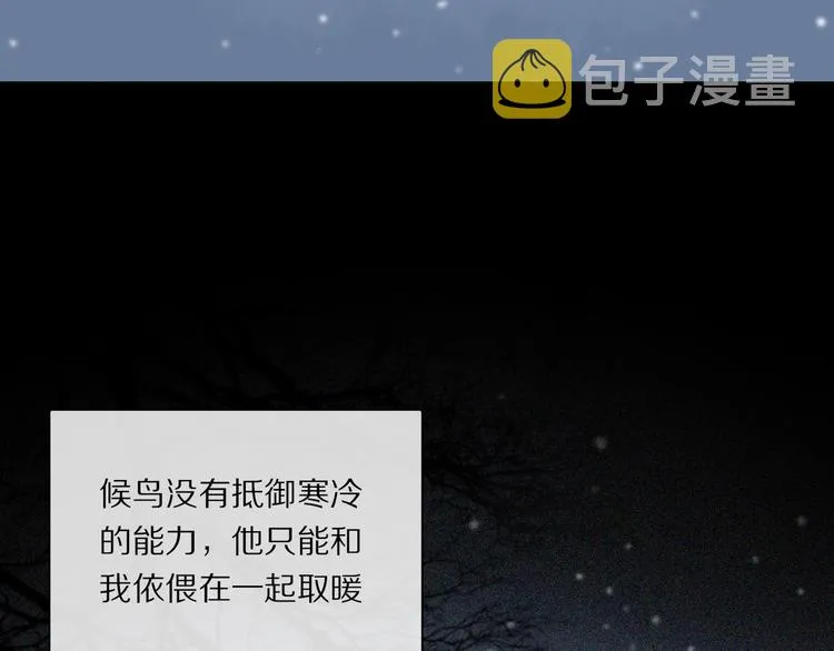 番外：候鸟 第65页