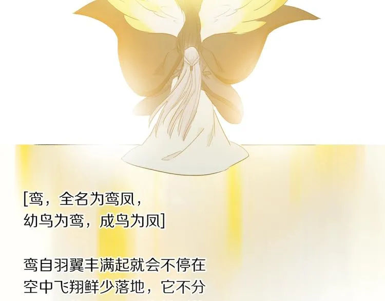 番外：候鸟 第132页