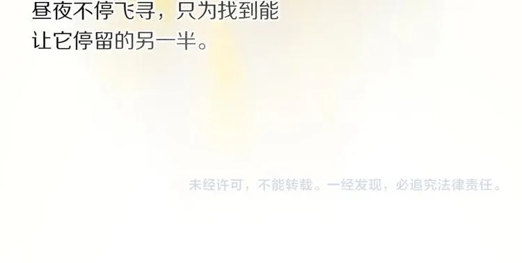番外：候鸟 第133页