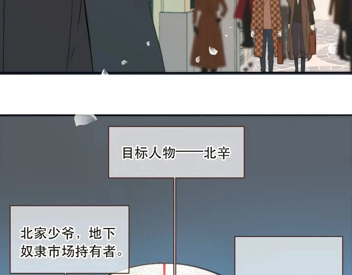 第1话 初次较量 第247页