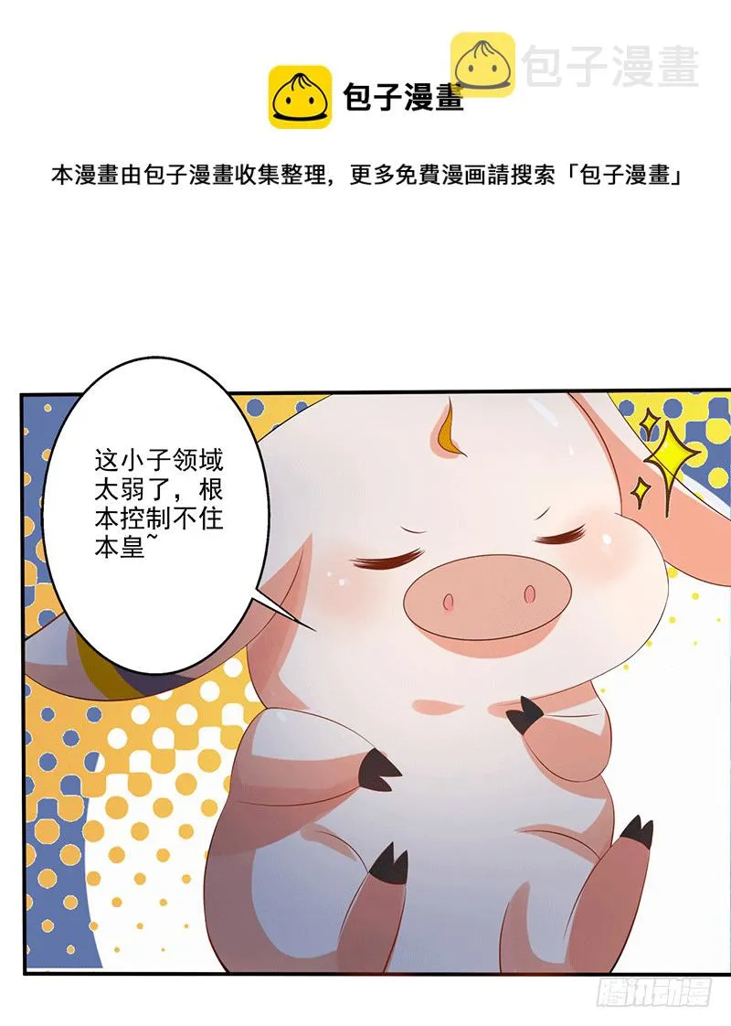 领域 第5页