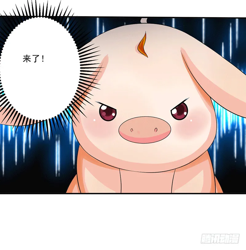领域 第12页