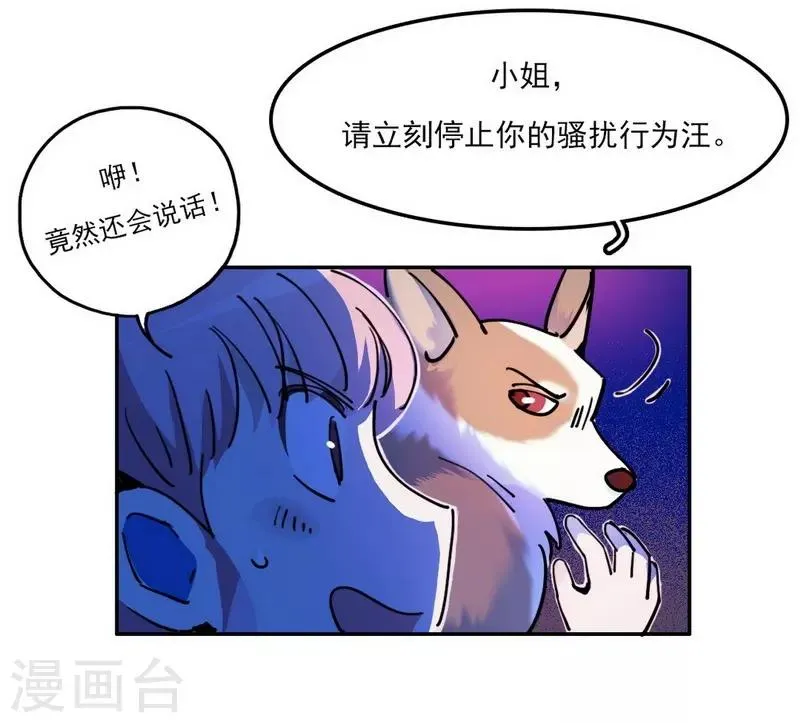 第19话 暗访“后援会” 第13页