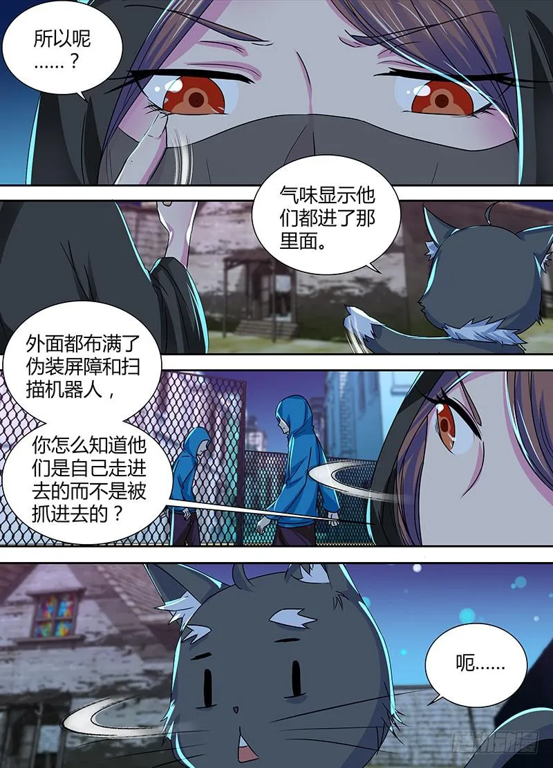 148 包括像狗的猫 第3页