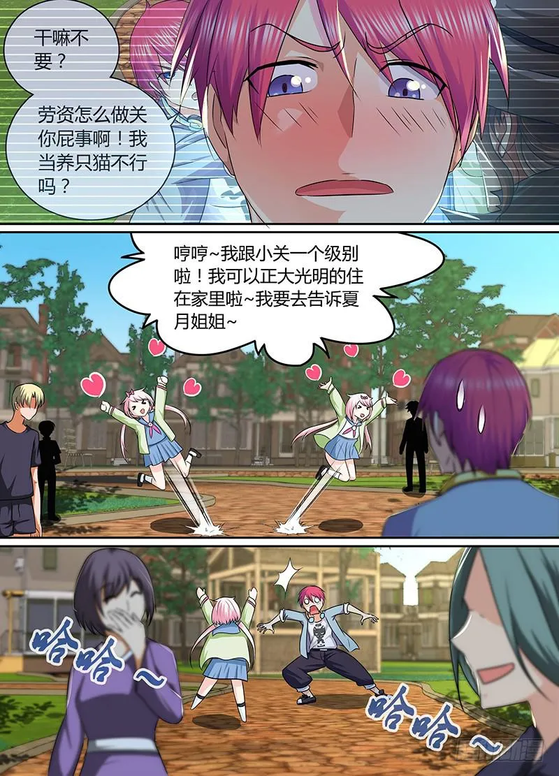 170 养了只猫 第10页