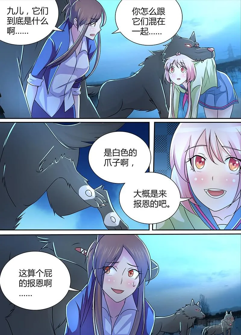 229 狼群 第13页