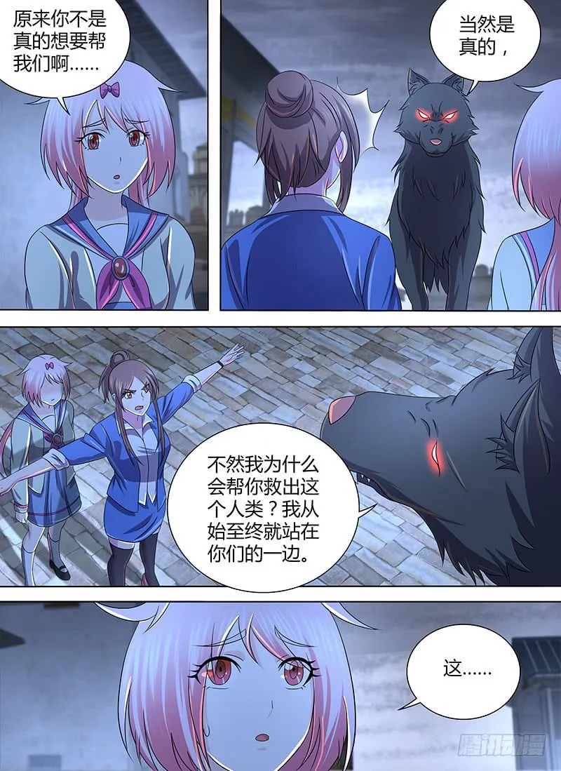 267 串供失败 第6页