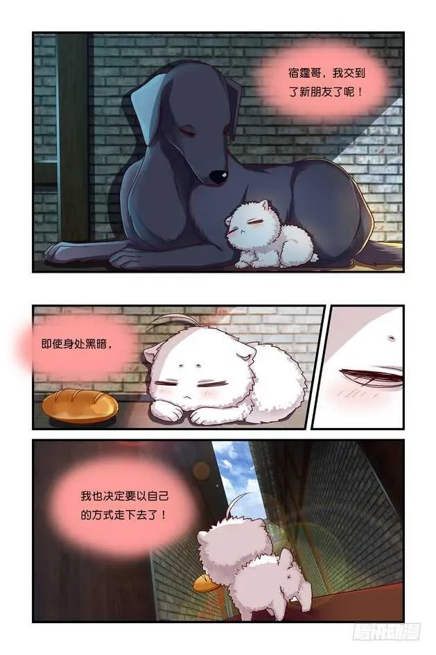 第19章上 第6页