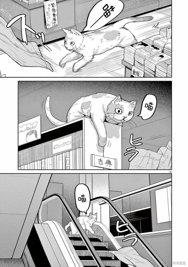 第47话 第12页