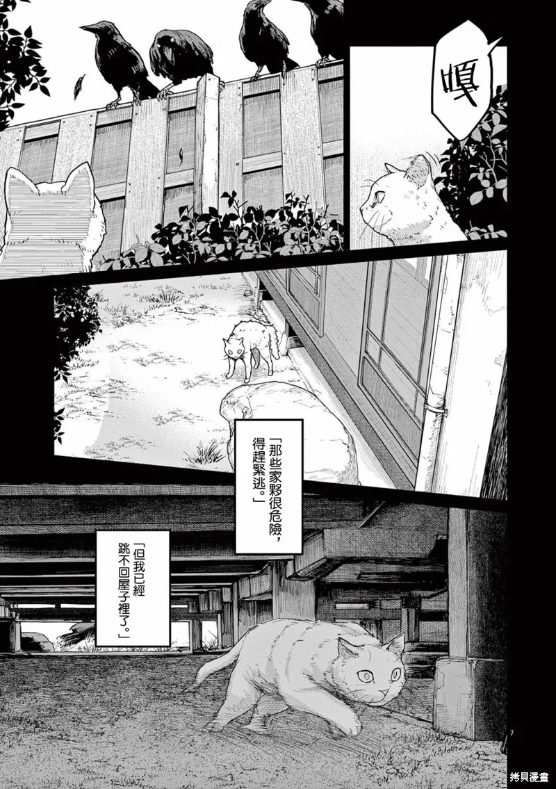第49话 第7页