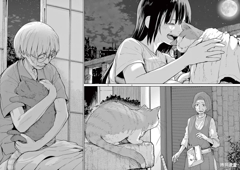 第51话 第6页