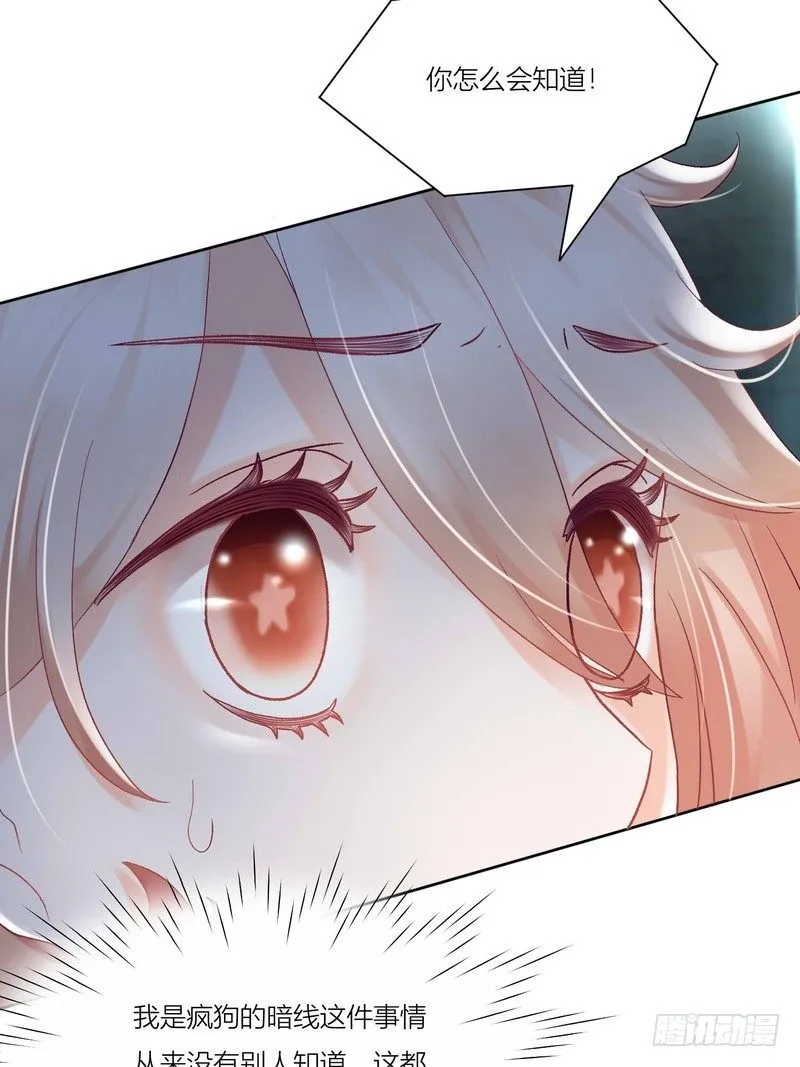 5 第6页