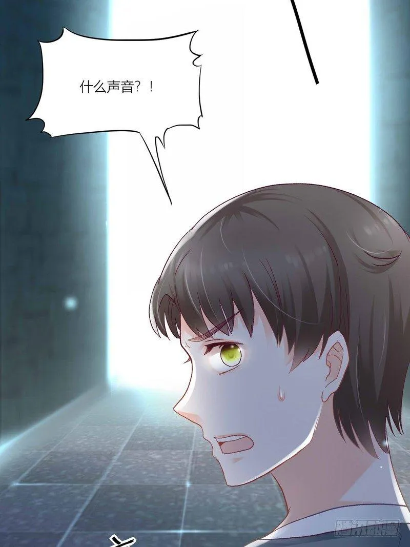 3 第31页