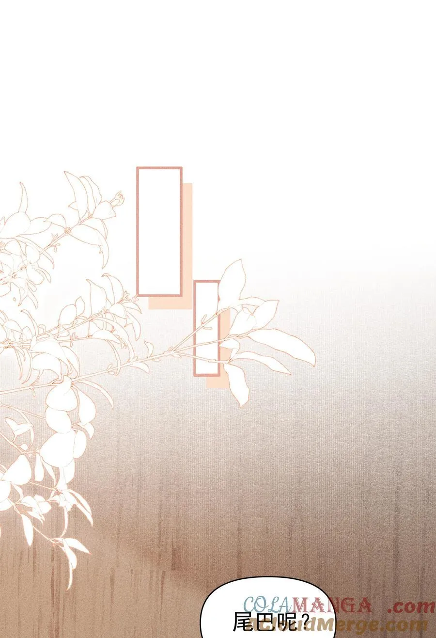 100 定居 第15页