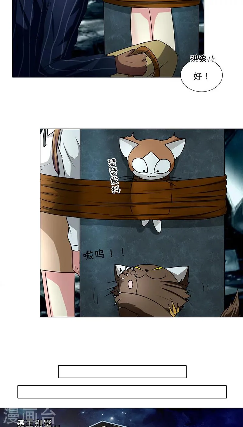 第35话 商讨对策 第5页