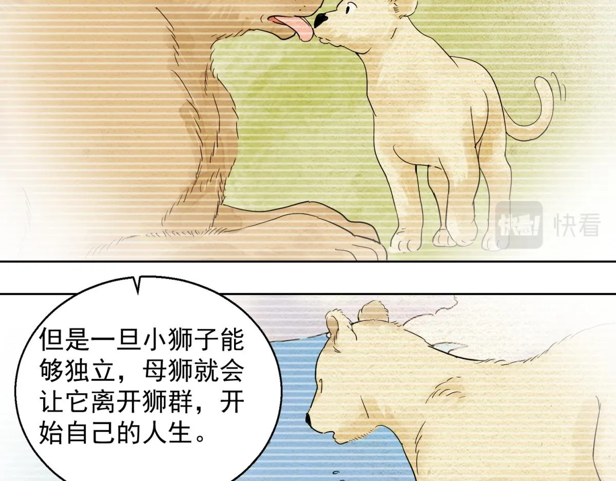 第124话 骑射大赛（十八） 第19页