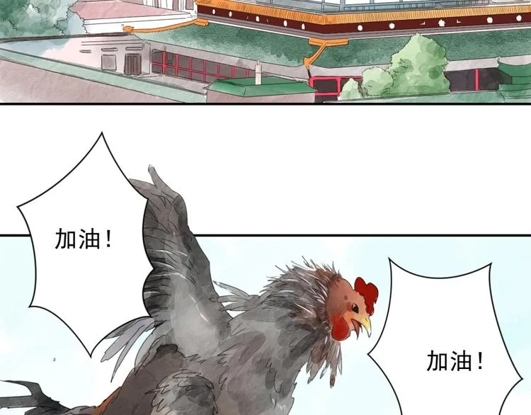第1话 斗鸡（一） 第12页