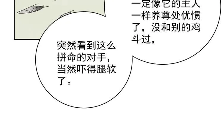 第3话 斗鸡（三） 第27页