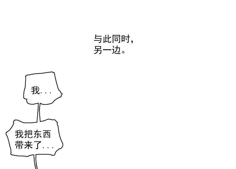 单刀赴会 第27页