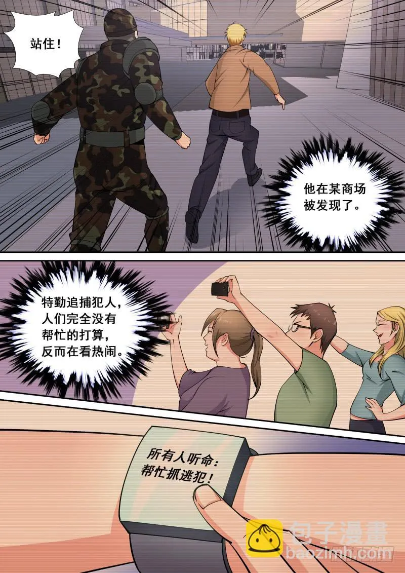 43 第4页