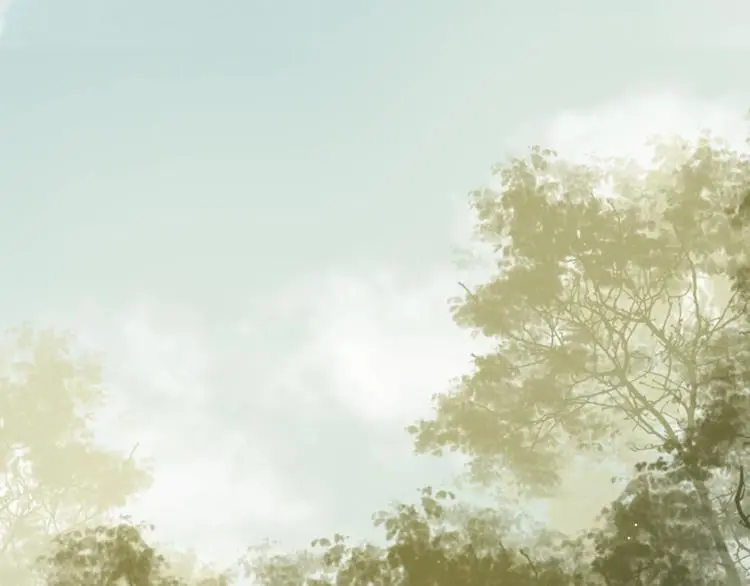 番外03 与汝同行 第79页