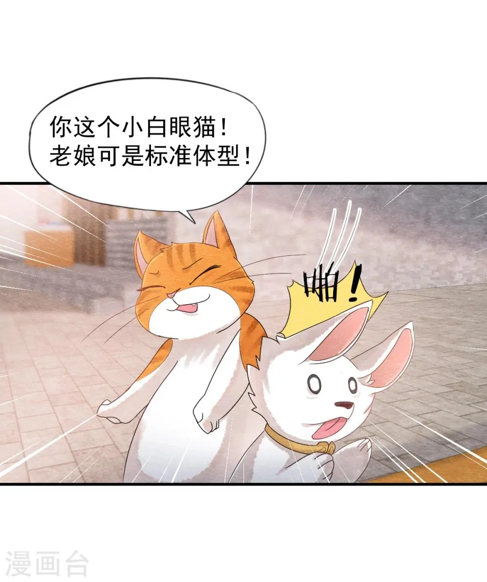 第1话 这个仙人怕不是傻的吧？！ 第15页
