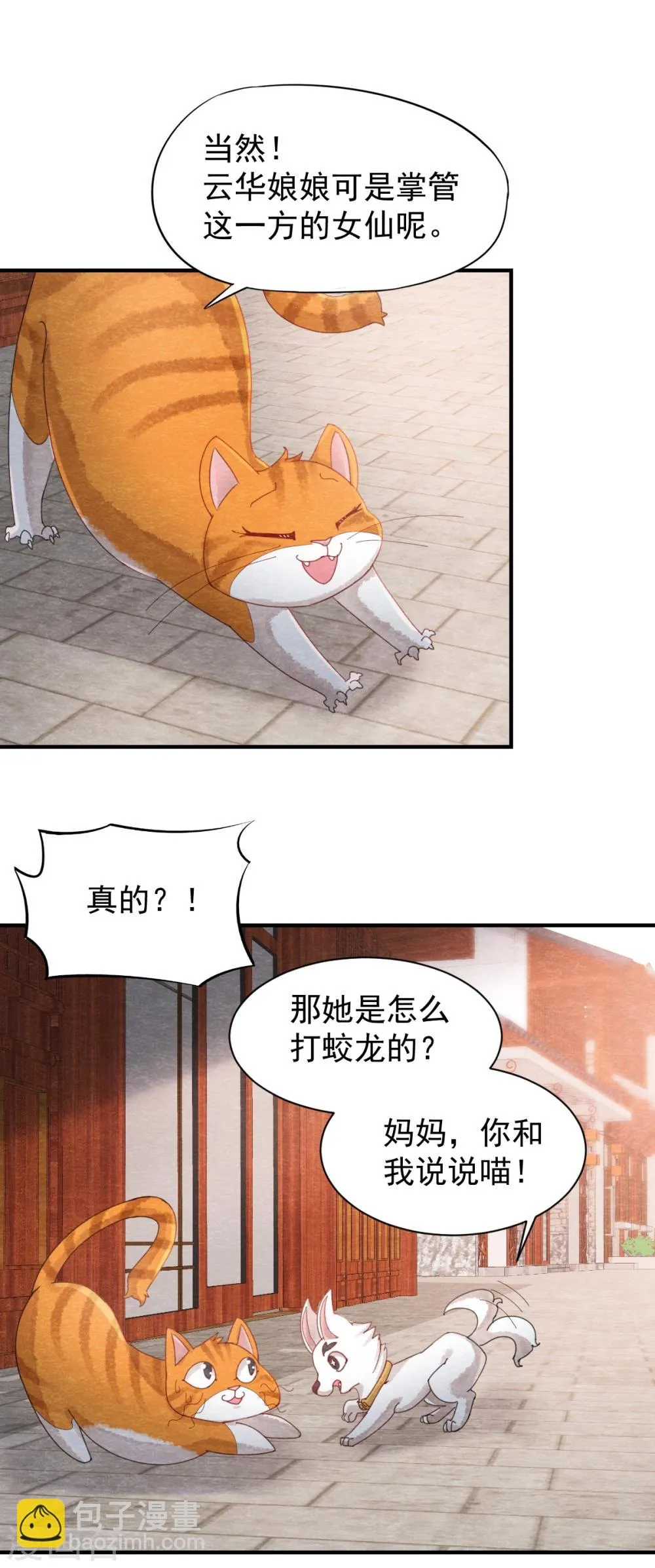 第1话 这个仙人怕不是傻的吧？！ 第17页