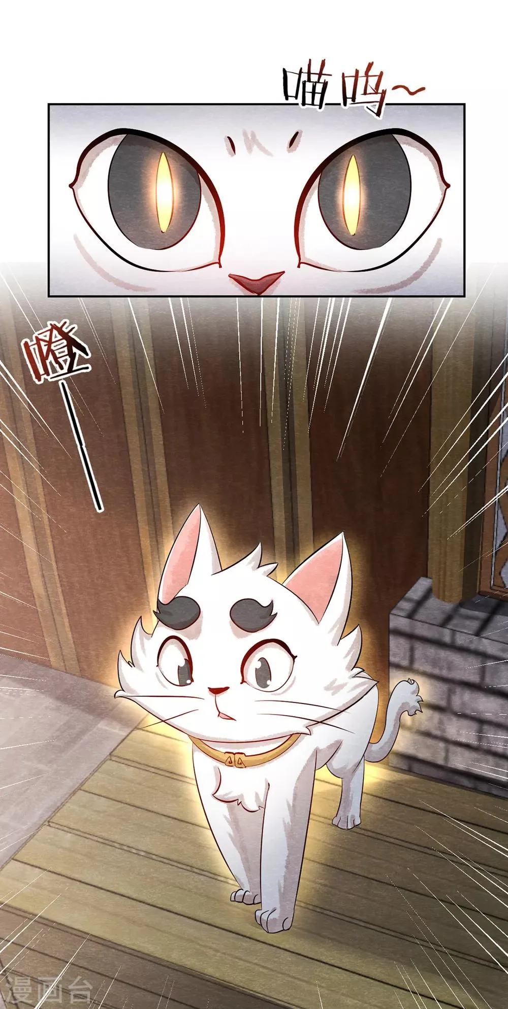 第3话 变变变！我是猫啦~ 第10页